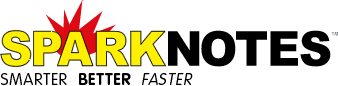 Spark Notes